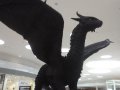 IMG_20160618_155403.jpg