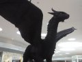 IMG_20160618_155404.jpg