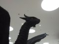 IMG_20160618_155410.jpg