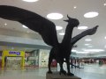 IMG_20160618_155418.jpg