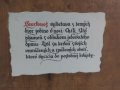 IMG_20160618_155435.jpg