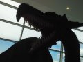 IMG_20160618_155644.jpg