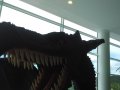 IMG_20160618_155654.jpg