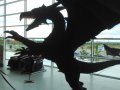 IMG_20160618_155712.jpg