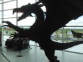 IMG_20160618_155714.jpg