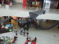 IMG_20160618_155859.jpg