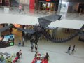 IMG_20160618_155903.jpg