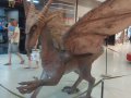 IMG_20160618_160549.jpg