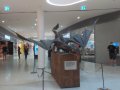 IMG_20160618_161708.jpg