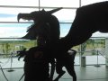 IMG_20160618_163303.jpg