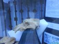 DSC03682.JPG