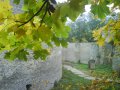DSC03587.JPG