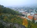 DSC03590.JPG