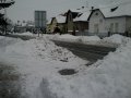 IMAG0246.JPG