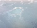 20201201_084522.jpg