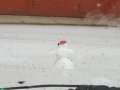 20201203_085054.jpg