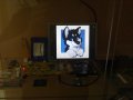 IMG_20111108_162724.jpg