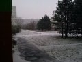 IMG_20111221_084425.jpg