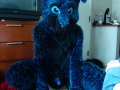 1206841083.skykitsune_dsc01275.jpg