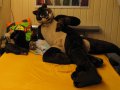 1207167440.kairan_sleek_on_bed.jpg