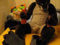 1226709246.kairan_img_0046.jpg