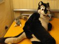 1237154111.kairan_bild_023.jpg