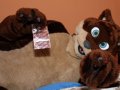 1242150439.kairan_condoms.jpg