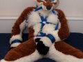 1266008742.junowolf_dsc_0004.jpg
