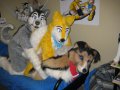 1268102474.goldenwolf2879_img_0229.jpg