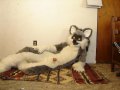 DSC01886.jpg
