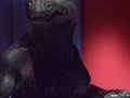 Gorn20052.jpg