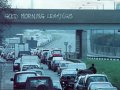 4464_morningXlemmings.jpg