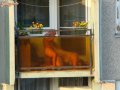 4465_200807.jpg