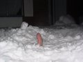 4468_1392.jpg