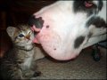 4843_Picture18.jpg