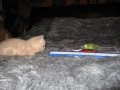 4943_image003.jpg