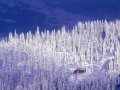 4987_Picture28.jpg