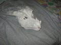 1251564623.aperture_img_0734.jpg