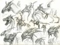 dragon_head_designs_by_yty2000.jpg