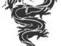 dragon_by_DarkAngel4Life522.jpg