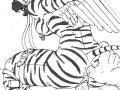 Max-Dragon_Anailaigh.jpg