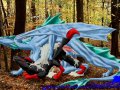 commission-dragonfox_final.jpg