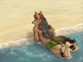 1206399625.decaf_1206398065.taoren_eccentricdrdroll-submission.jpg