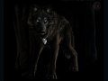 From_Shadow___BlackWolf_Gift_by_lenzamoon.jpg