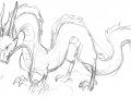 HakuSketch1.jpg