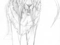 HakanWORK_IN_PROGRESS.jpg