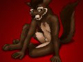 1996_wolf_cub.jpg