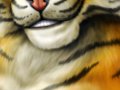 W_Tallyhawk_Tatoo.jpg