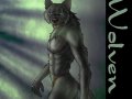 W_wolven.jpg