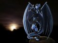 f_1206509542838_Kashaadri_Nightshade_by_marirosa.jpg